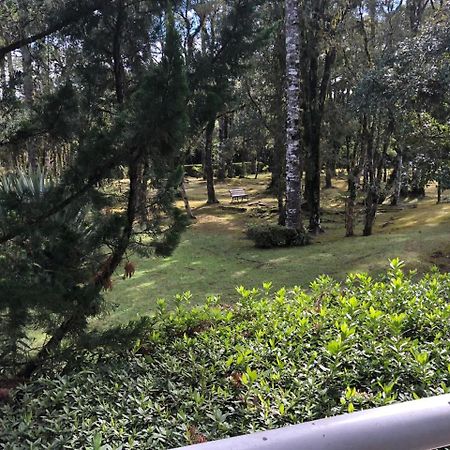Flat Luxo Mountain Village Canela Exterior foto