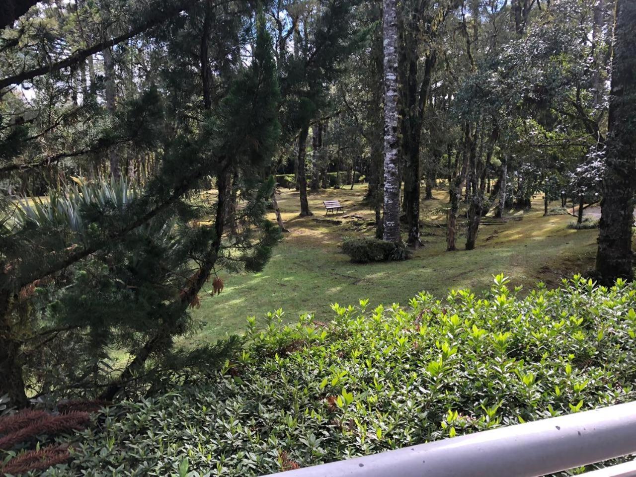 Flat Luxo Mountain Village Canela Exterior foto